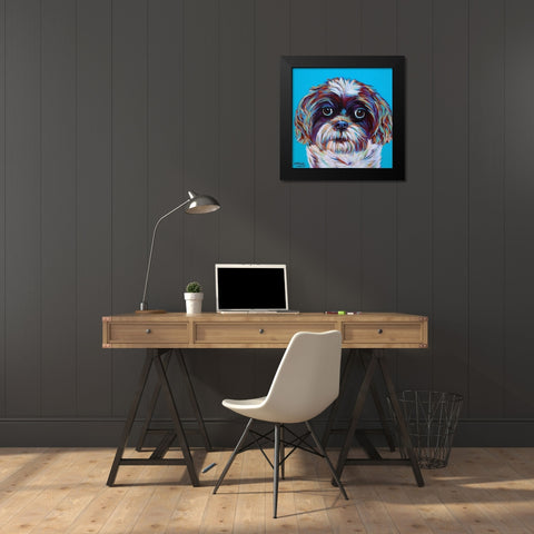 Shih Tzu on Blue Black Modern Wood Framed Art Print by Vitaletti, Carolee