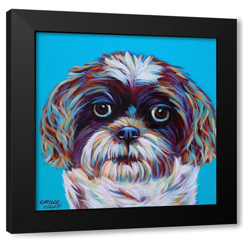 Shih Tzu on Blue Black Modern Wood Framed Art Print by Vitaletti, Carolee