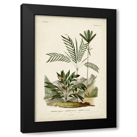 Antique Palm Collection I Black Modern Wood Framed Art Print by DOrbigny, M. Charles