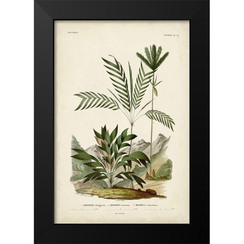 Antique Palm Collection I Black Modern Wood Framed Art Print by DOrbigny, M. Charles