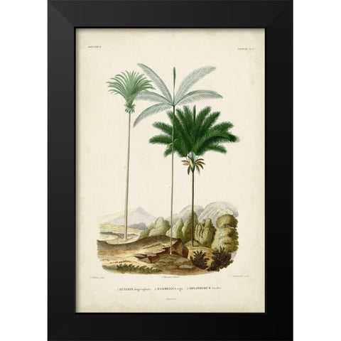 Antique Palm Collection II Black Modern Wood Framed Art Print by DOrbigny, M. Charles