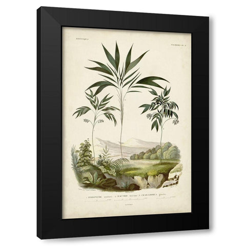 Antique Palm Collection III Black Modern Wood Framed Art Print by DOrbigny, M. Charles