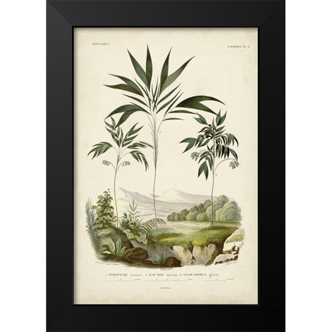 Antique Palm Collection III Black Modern Wood Framed Art Print by DOrbigny, M. Charles