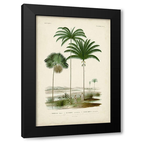 Antique Palm Collection IV Black Modern Wood Framed Art Print by DOrbigny, M. Charles