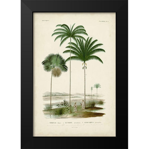 Antique Palm Collection IV Black Modern Wood Framed Art Print by DOrbigny, M. Charles