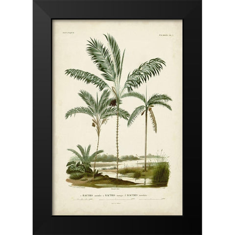 Antique Palm Collection VII Black Modern Wood Framed Art Print by DOrbigny, M. Charles