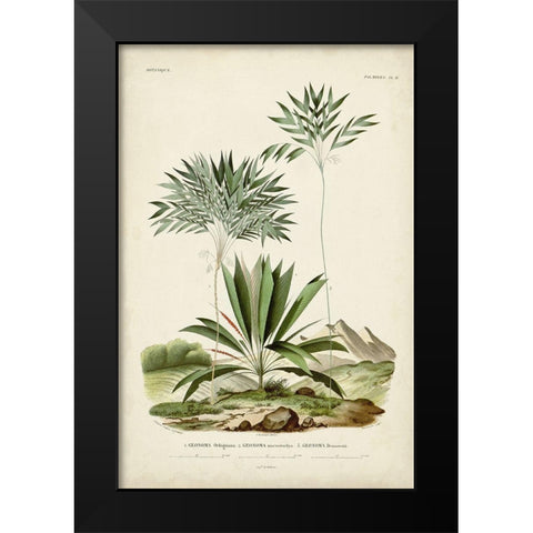Antique Palm Collection VIII Black Modern Wood Framed Art Print by DOrbigny, M. Charles