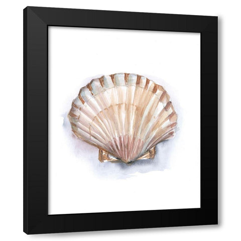 Pastel Shell Collection III Black Modern Wood Framed Art Print by Harper, Ethan