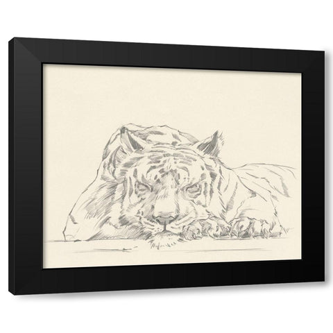 Cat Nap II Black Modern Wood Framed Art Print by Harper, Ethan