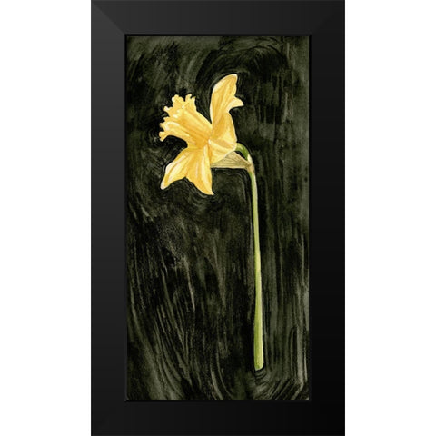 Dark Daffodils I Black Modern Wood Framed Art Print by Caroline, Emma
