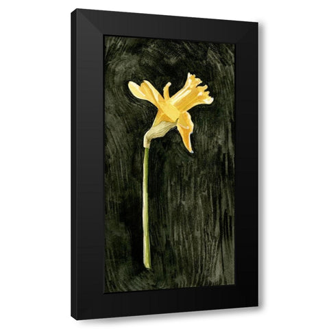 Dark Daffodils II Black Modern Wood Framed Art Print by Caroline, Emma