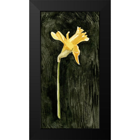 Dark Daffodils II Black Modern Wood Framed Art Print by Caroline, Emma