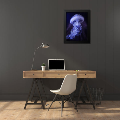 Peri Gelatinous I Black Modern Wood Framed Art Print by Hunziker, Steve