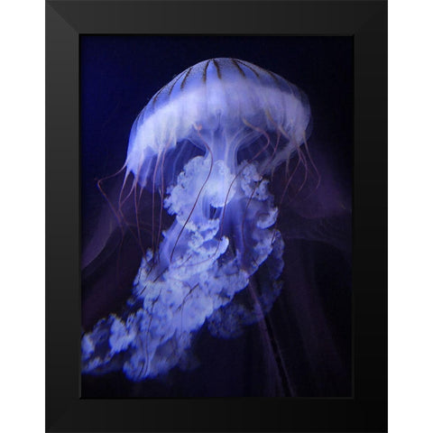 Peri Gelatinous I Black Modern Wood Framed Art Print by Hunziker, Steve