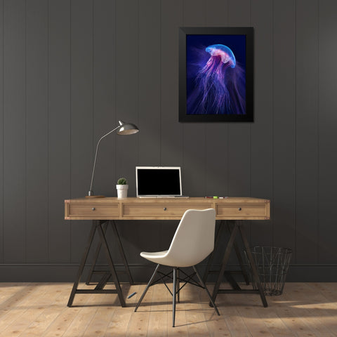 Peri Gelatinous II Black Modern Wood Framed Art Print by Hunziker, Steve