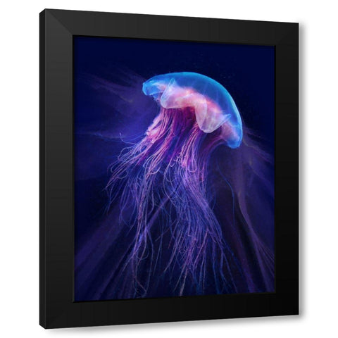 Peri Gelatinous II Black Modern Wood Framed Art Print with Double Matting by Hunziker, Steve