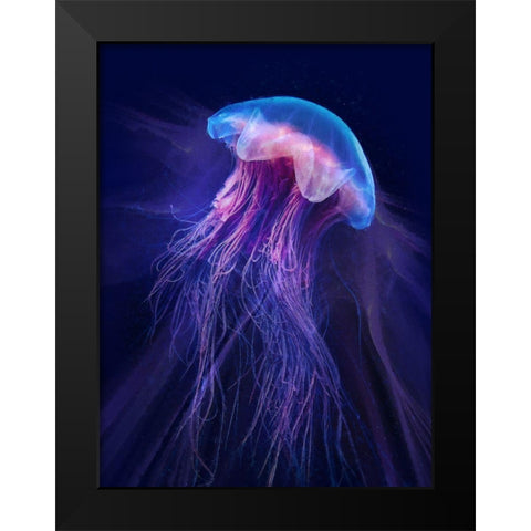 Peri Gelatinous II Black Modern Wood Framed Art Print by Hunziker, Steve