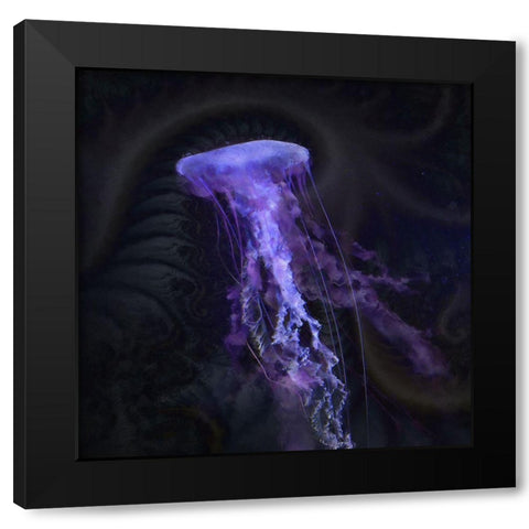 Peri Gelatinous IV Black Modern Wood Framed Art Print with Double Matting by Hunziker, Steve
