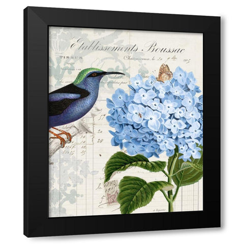 Vintage Aviary I Black Modern Wood Framed Art Print with Double Matting by Smith, Karen