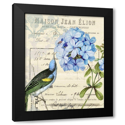 Vintage Aviary II Black Modern Wood Framed Art Print by Smith, Karen
