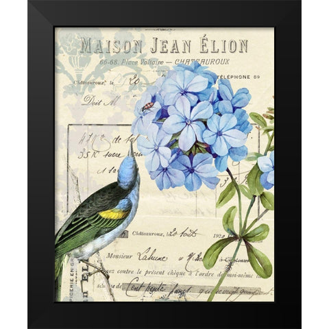 Vintage Aviary II Black Modern Wood Framed Art Print by Smith, Karen