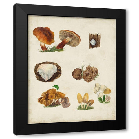 Mushroom Species I Black Modern Wood Framed Art Print by Vision Studio