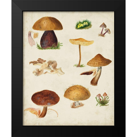 Mushroom Species II Black Modern Wood Framed Art Print by Vision Studio