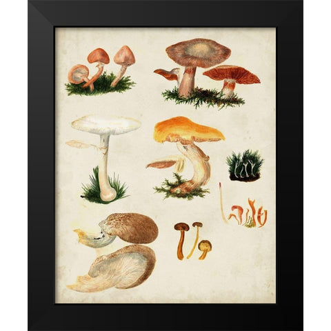 Mushroom Species IV Black Modern Wood Framed Art Print by Vision Studio