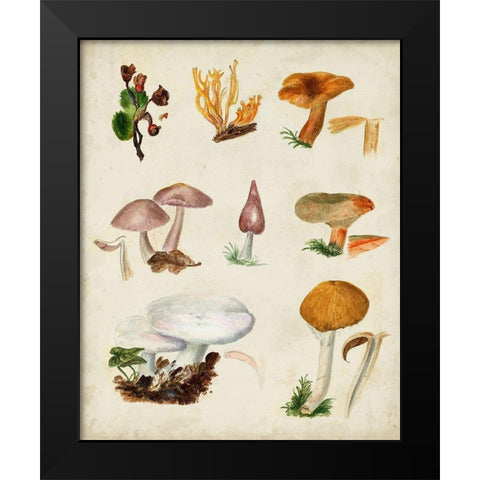 Mushroom Species VI Black Modern Wood Framed Art Print by Vision Studio