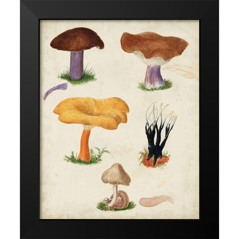 Mushroom Species VII Black Modern Wood Framed Art Print by Vision Studio