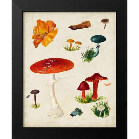 Mushroom Species VIII Black Modern Wood Framed Art Print by Vision Studio