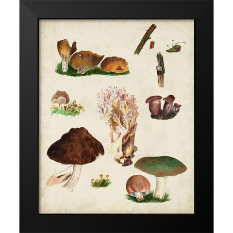 Mushroom Species IX Black Modern Wood Framed Art Print by Vision Studio