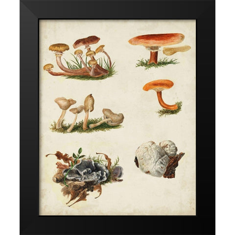 Mushroom Species X Black Modern Wood Framed Art Print by Vision Studio