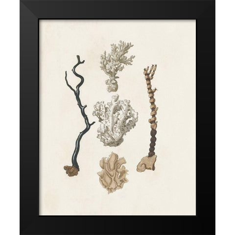 Knorr Shells And Coral V Black Modern Wood Framed Art Print by Knorr