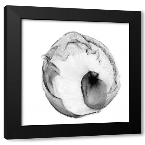 Veiled Illusions I Black Modern Wood Framed Art Print with Double Matting by Curinga, Kim