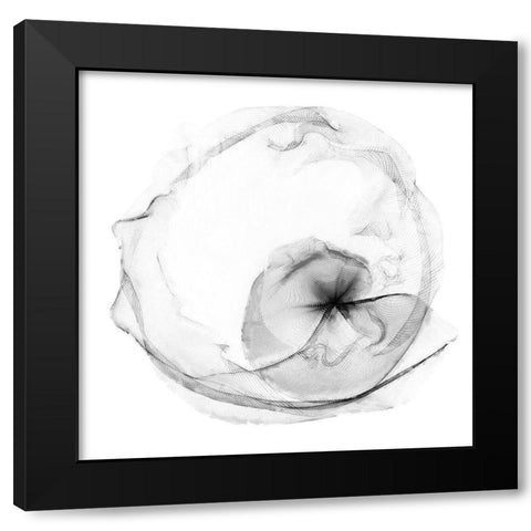 Veiled Illusions II Black Modern Wood Framed Art Print by Curinga, Kim