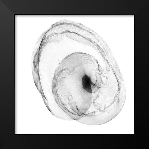 Veiled Illusions IV Black Modern Wood Framed Art Print by Curinga, Kim