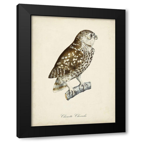 French Owls I Black Modern Wood Framed Art Print by de Langlois