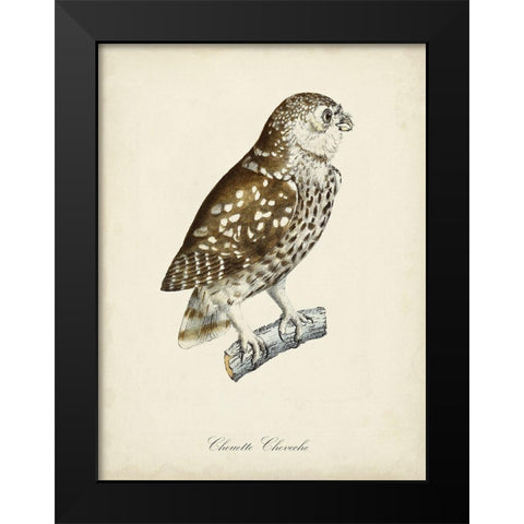 French Owls I Black Modern Wood Framed Art Print by de Langlois