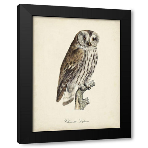 French Owls III Black Modern Wood Framed Art Print with Double Matting by de Langlois