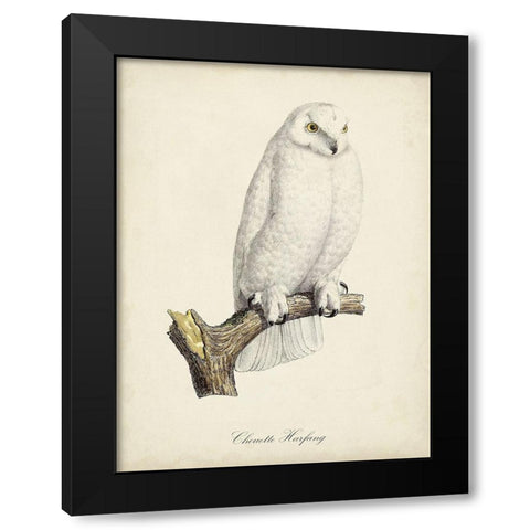 French Owls IV Black Modern Wood Framed Art Print by de Langlois