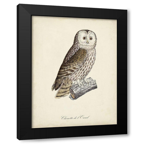 French Owls V Black Modern Wood Framed Art Print by de Langlois