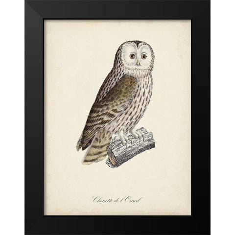 French Owls V Black Modern Wood Framed Art Print by de Langlois