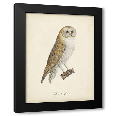 French Owls VI Black Modern Wood Framed Art Print by de Langlois