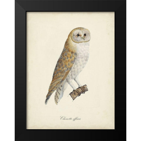 French Owls VI Black Modern Wood Framed Art Print by de Langlois