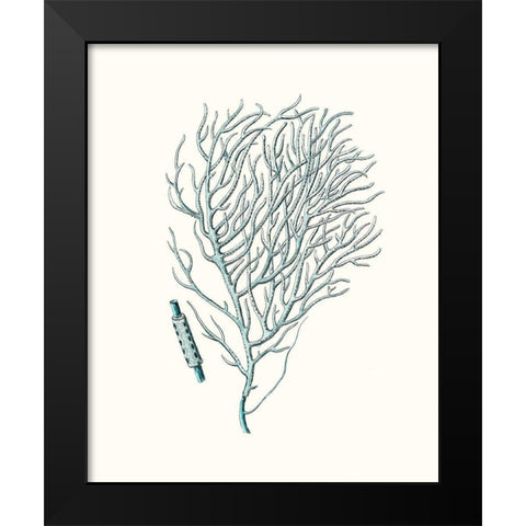 Antique Coastal Coral I Black Modern Wood Framed Art Print by Esper, Johann