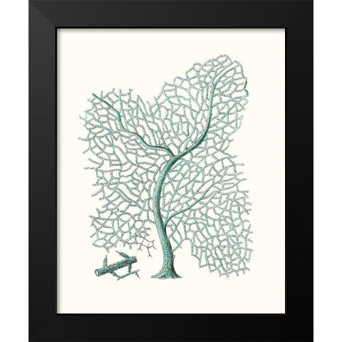 Antique Coastal Coral II Black Modern Wood Framed Art Print by Esper, Johann