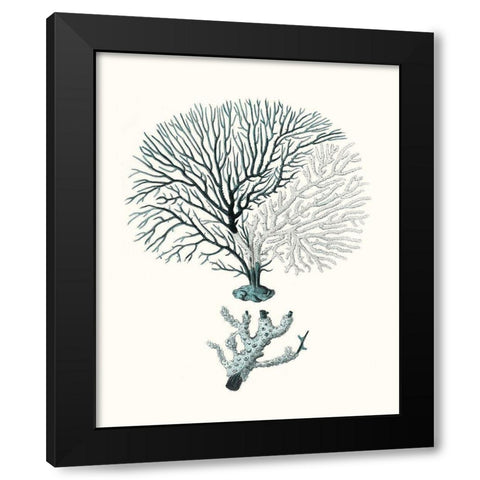 Antique Coastal Coral III Black Modern Wood Framed Art Print with Double Matting by Esper, Johann