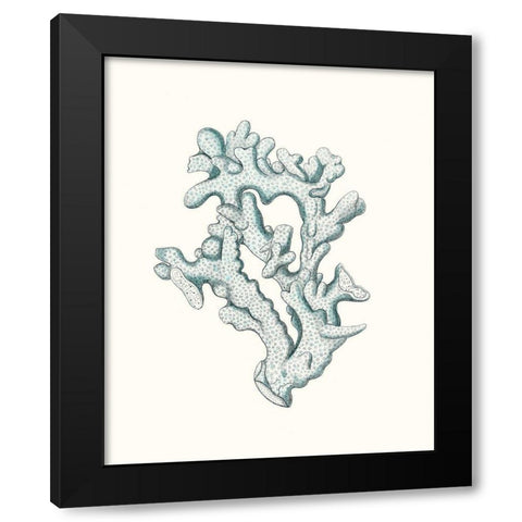 Antique Coastal Coral IV Black Modern Wood Framed Art Print by Esper, Johann