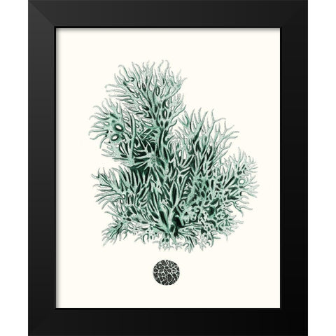 Antique Coastal Coral V Black Modern Wood Framed Art Print by Esper, Johann